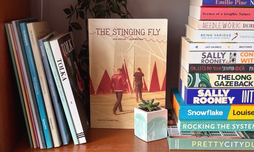 Irish literary journals and contemporary fiction on a bookshelf