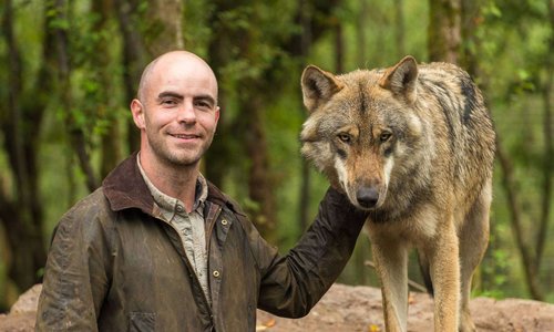 Killian with one of Wild Ireland’s grey wolves