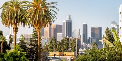 skyline of LA with palm trees in the Foreground