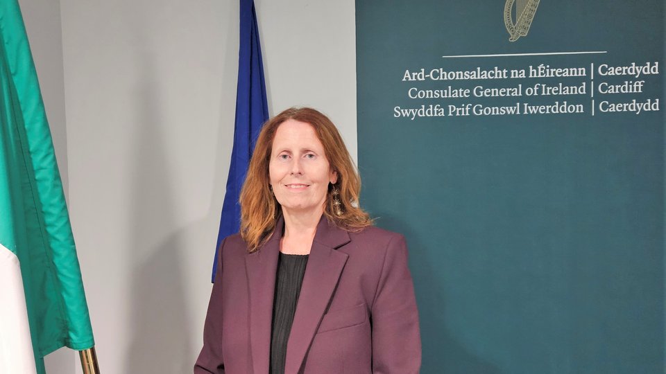 Michelle Ryan stands beside Ireland and EU flags.