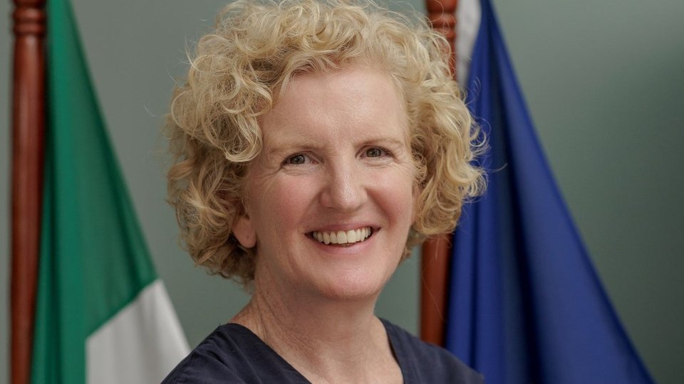 A Lady in blue standing infront of the Irish and EU flags.