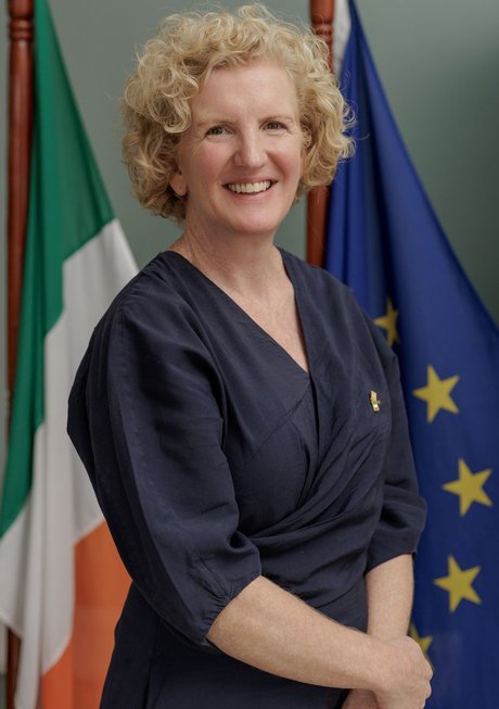 A Lady in blue standing infront of the Irish and EU flags.