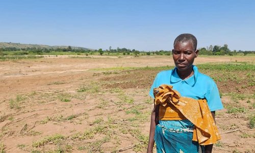 A woman standing in a field washed away by a cyclone