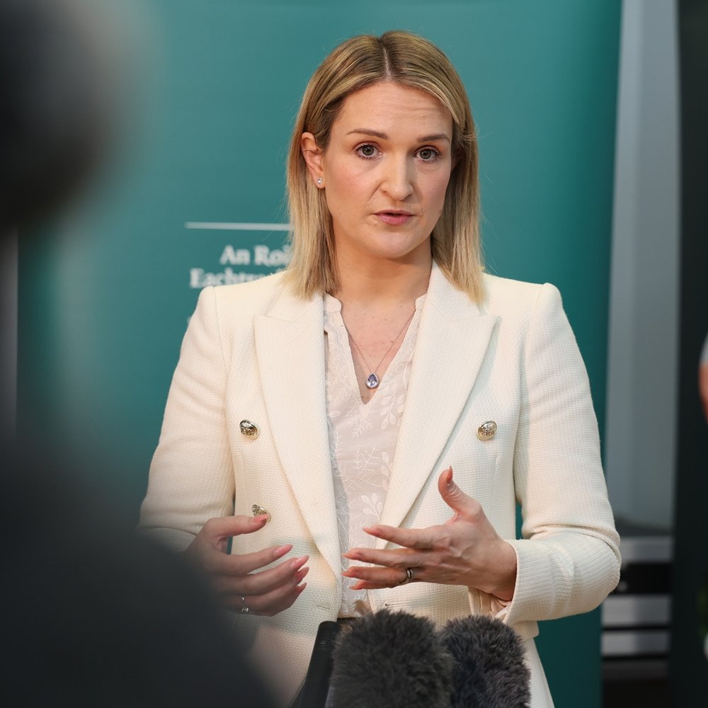 Minister McEntee addresses press conference.