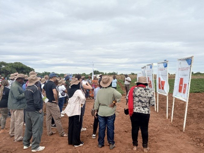 Participants at Mpale Research Farm