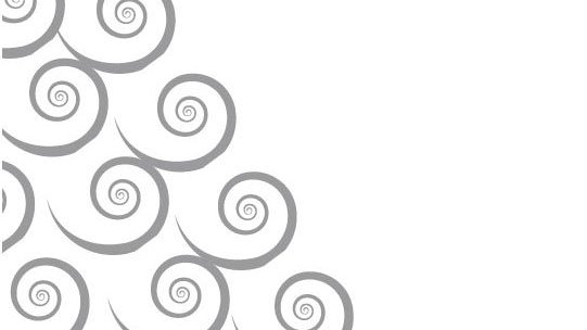 swirly design abstract from the new zealand fern