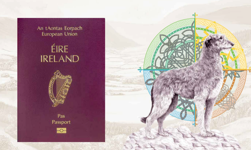 Irish passport alongside illustration of Irish wolfhound and celtic designs