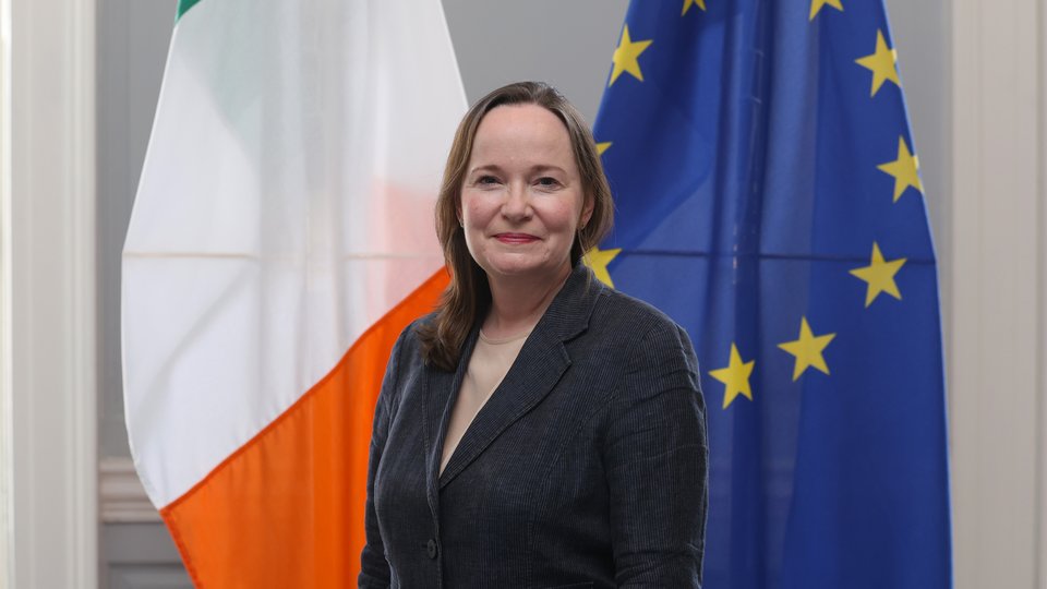 Headshot of the Ambassador in front of Argentinian, Irish and EU flags.