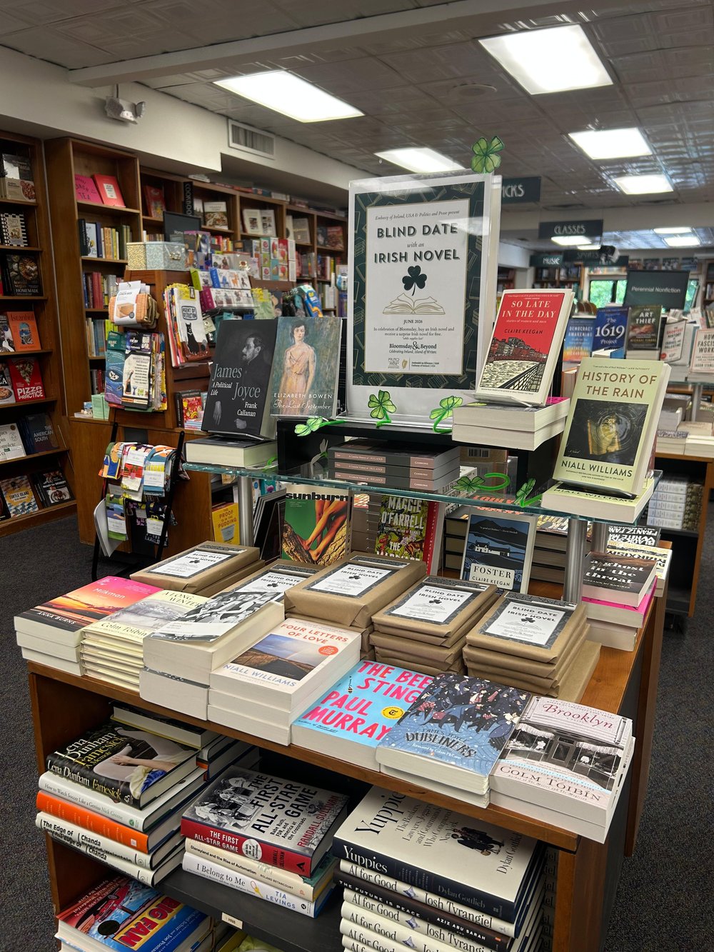 Stand in bookstore with Irish books and sign that reads 'blind date with an Irish novel'