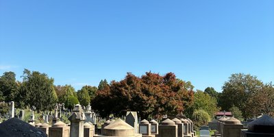 Congressional cemetery graves autumn