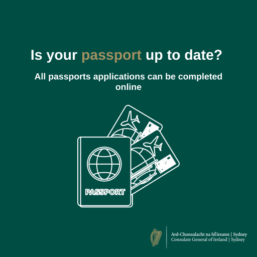 Passport Application Guidance Sheet Ireland this is Ireland