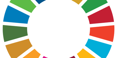 Sustainable Development Goals colour wheel graphic