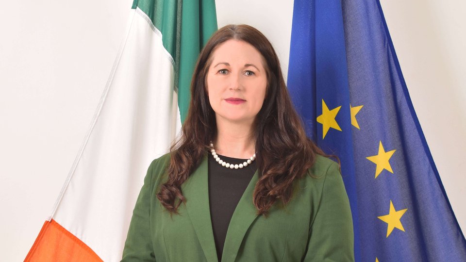 A photo of Ambassador Sharon Lennon in front of Irish and European Union Flags