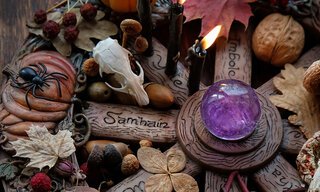 Collection of autumnal ornaments