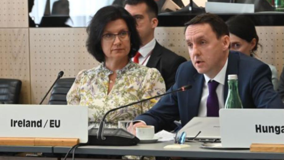 Man and woman speaking into microphones on a panel