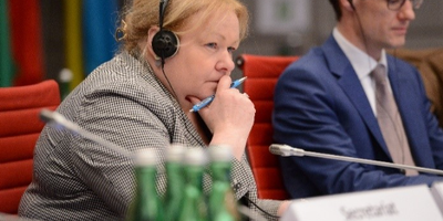 Ambassador Anne-Marie Callan chairs a meeting of the Human Dimension Committee