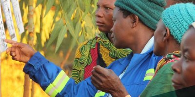 Three people looking at signs