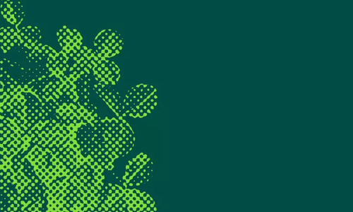 Shamrock graphic