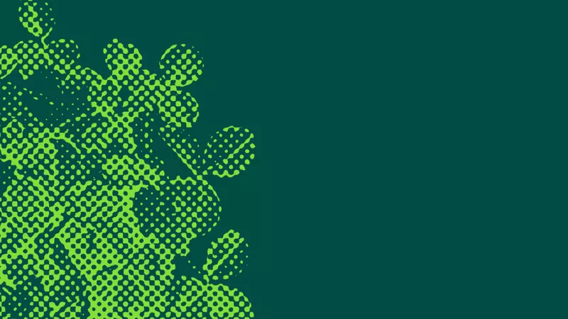 graphic of shamrocks