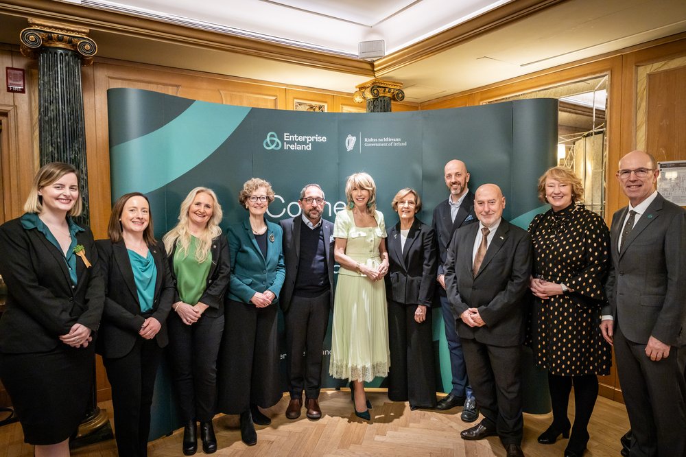Image of members of the Irish Business Network and Ambassador