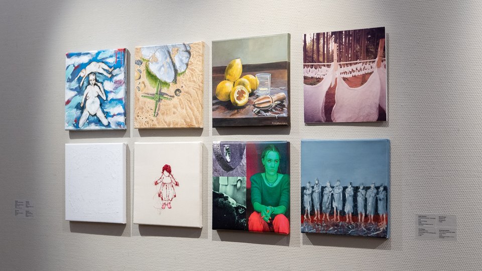 Bloodroot - eight artworks on canvas displayed on a white wall
