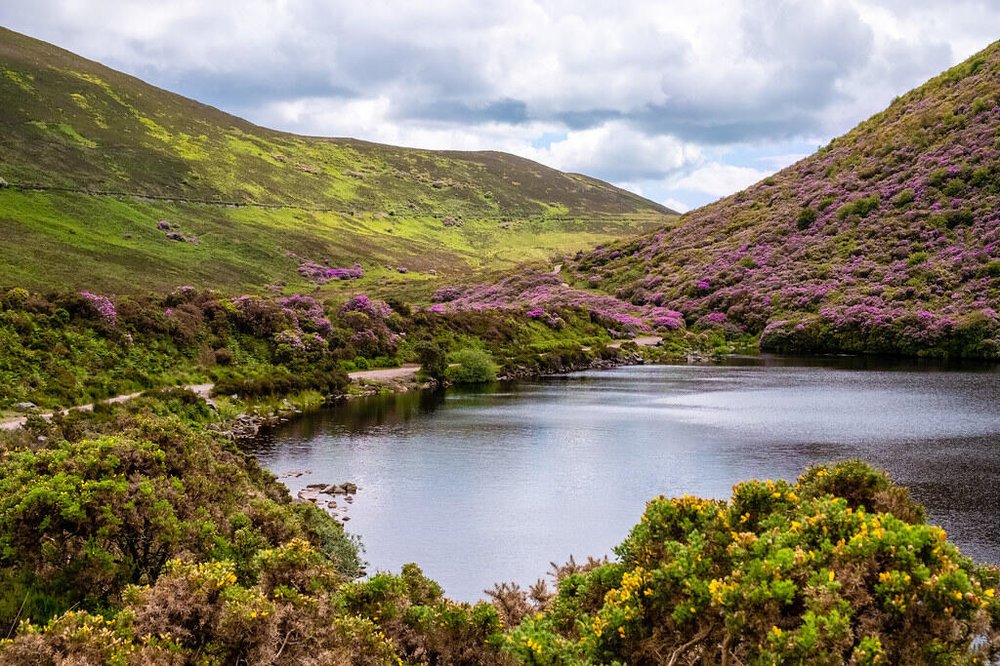 View of the Vee Drive in Tipperary, looking out over a lake