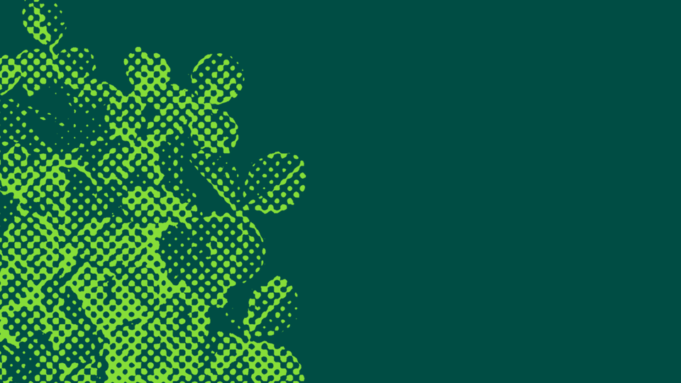 graphic of shamrock in  neon green