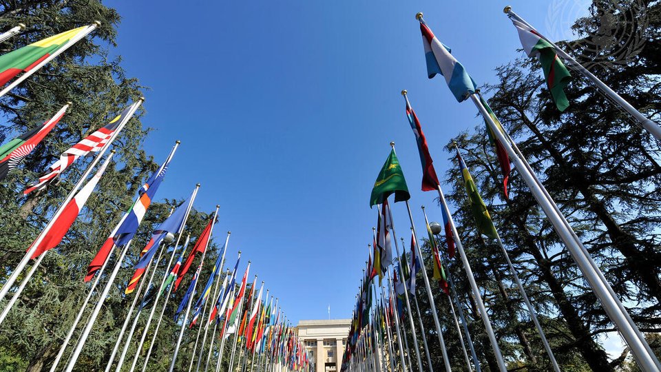 Flags of several countries flying on tall flagpoles, as seen from the ground. They line either side of a street, leading to a stone building in the background.