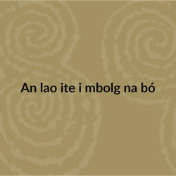 Irish seanfhocail: An lao ite i mbolg na bó