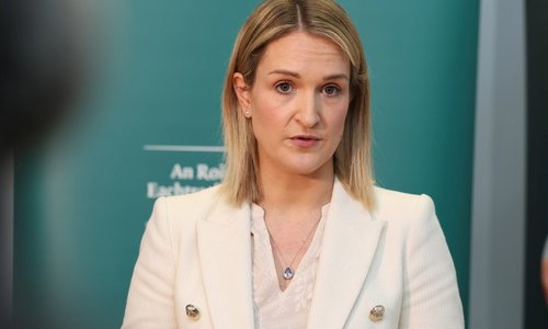 Minister McEntee announces financial support for public services in Palestine