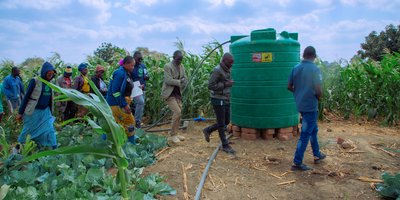 people walking to review water tanks in field of maize plants