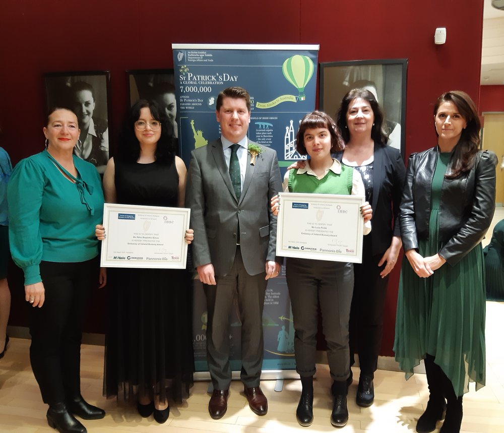 Irish Embassy Bursary Programme 2024 Ireland this is Ireland