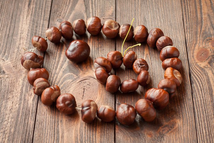 Conker Jewellery