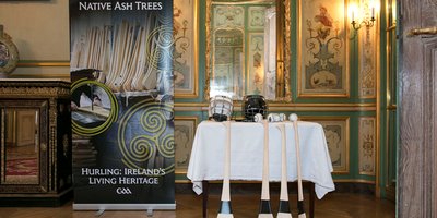 Exhibition of hurls and sliotars on display in the Embassy during the celebration of hurling reception