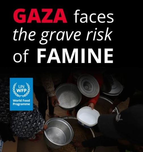 Tánaiste announces €2m in funding for World Food Programme in Gaza ...