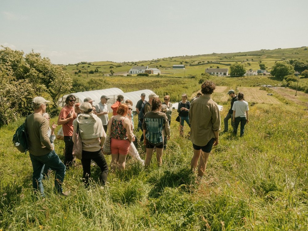 A group of participants walk through a hillside field on a foraging excursion