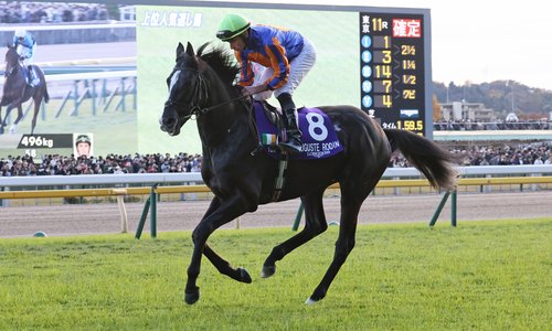 a horse and jockey mid race