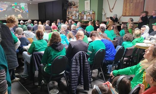 crowd seated at an event wearing Ireland green jerseys