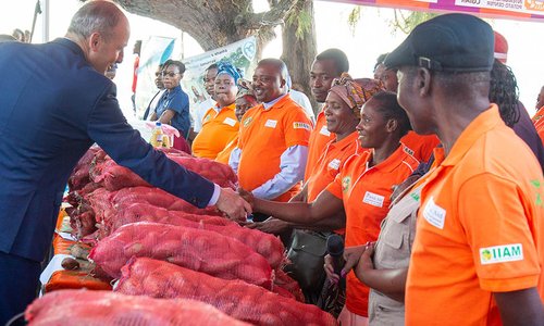 traders at an agricultural fair wearing orange tops with a bags of crops in front of them