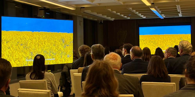 Rows of people watch screening of Lina - screen features landscape image mimicking the Ukrainian flag