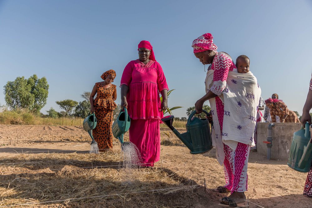 Women watering dry earth.